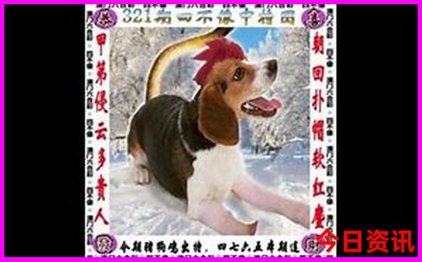 颐和园最值得看的景点